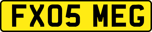 FX05MEG