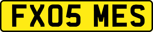 FX05MES