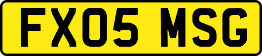 FX05MSG