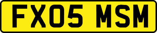 FX05MSM