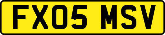 FX05MSV