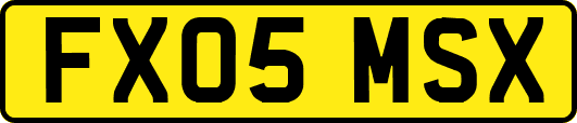 FX05MSX