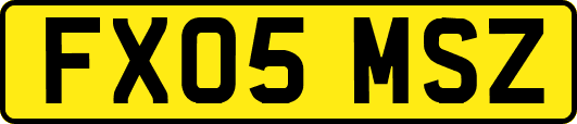 FX05MSZ