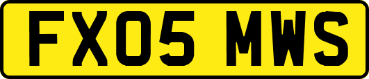 FX05MWS