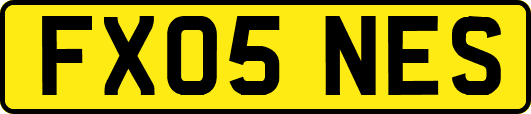 FX05NES