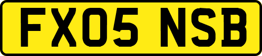 FX05NSB