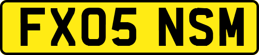 FX05NSM