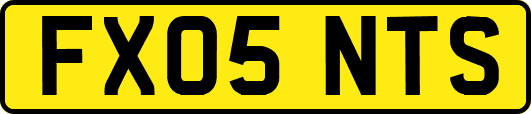 FX05NTS