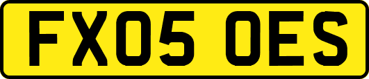 FX05OES