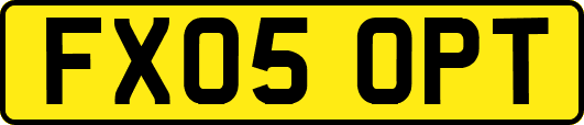 FX05OPT