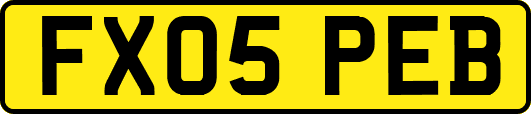 FX05PEB