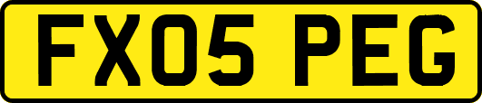FX05PEG