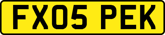 FX05PEK
