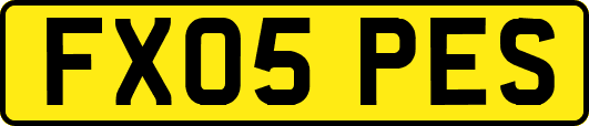FX05PES