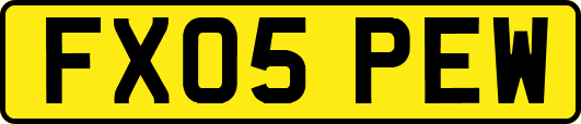 FX05PEW