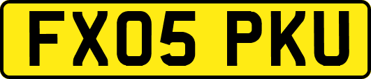 FX05PKU