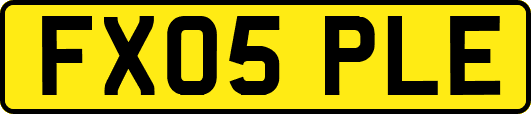 FX05PLE