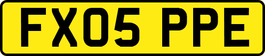 FX05PPE