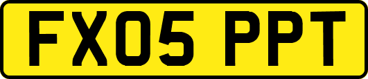 FX05PPT