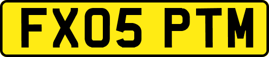 FX05PTM