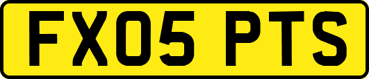 FX05PTS