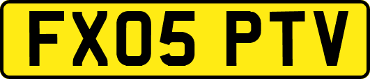 FX05PTV