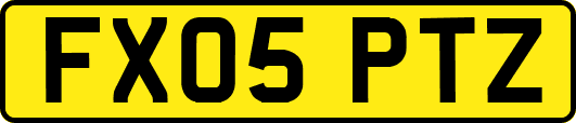 FX05PTZ