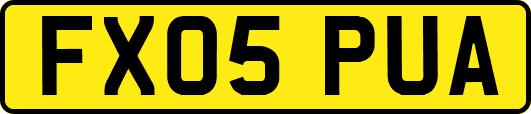 FX05PUA