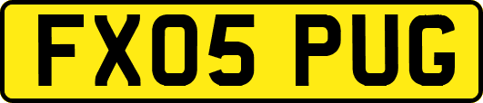 FX05PUG