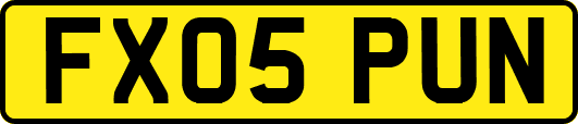FX05PUN