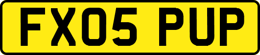 FX05PUP