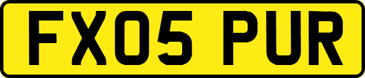 FX05PUR