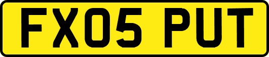 FX05PUT