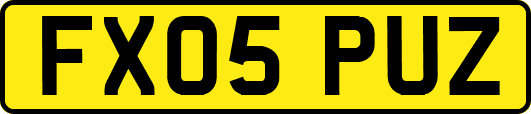FX05PUZ