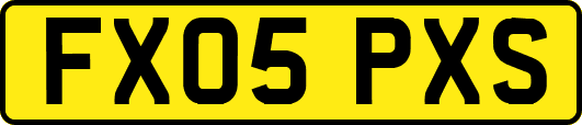 FX05PXS