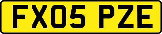 FX05PZE