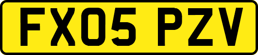 FX05PZV