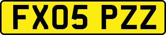 FX05PZZ