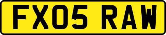 FX05RAW