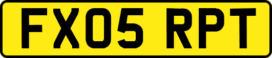 FX05RPT