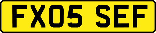 FX05SEF