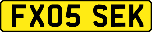 FX05SEK