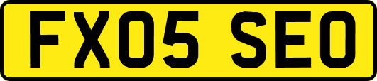 FX05SEO