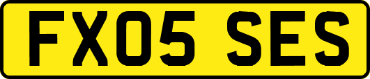 FX05SES