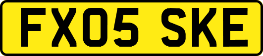 FX05SKE