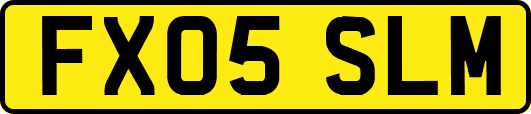 FX05SLM