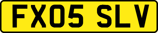 FX05SLV