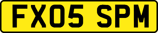FX05SPM