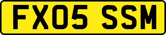 FX05SSM