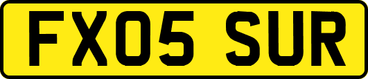 FX05SUR